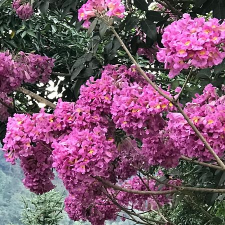 Bliss Bed And Breakfast Yuchi Bagian luar foto